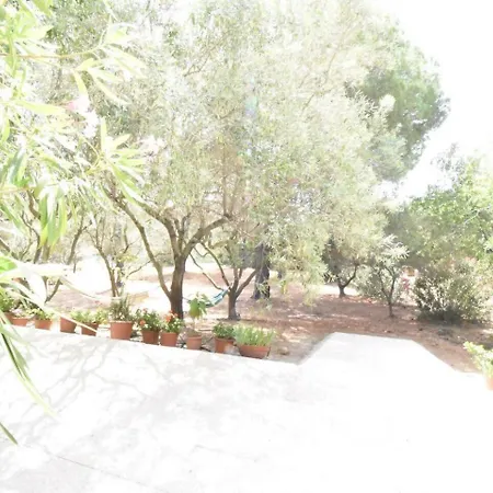 Il Bouganville *