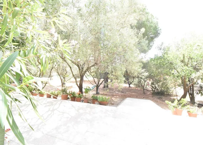 Nyaraló Il Bouganville
